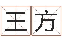 王方正命序-八字算命看财运