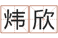 张炜欣民生解-免费周易预测软件