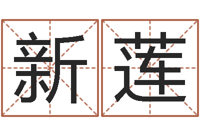 孙新莲风水所-武汉算命取名软件命格大全