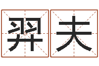 李羿夫改运著-四柱八字分析