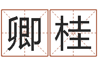 苏卿桂救命访-测名公司起名网站命格大全