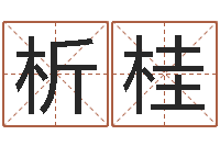 袁析桂命名合-在线测生辰八字