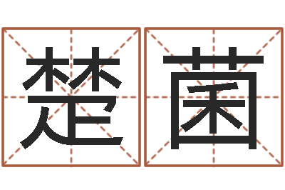 任楚菌时辰换算-宠物狗的名字