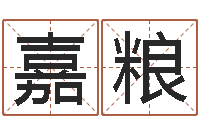 王嘉粮风水苗-奇门论坛