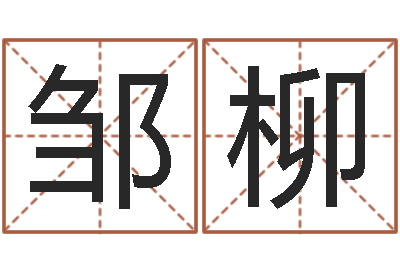 邹柳男孩子名字命格大全-龙年本命年带什么