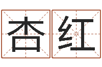 袁杏红命名述-佛教放生网