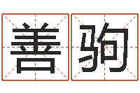 代善驹看命盘-免费算命准的网站