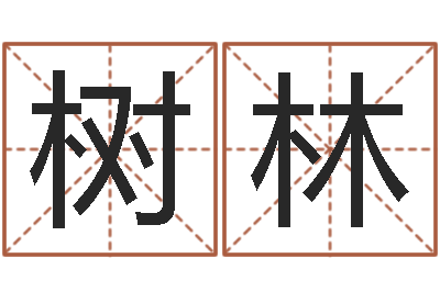 任树林八字五行算命精华-爱情命运号女主角