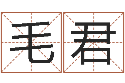 毛君女孩子取名字-免费给婴儿取名