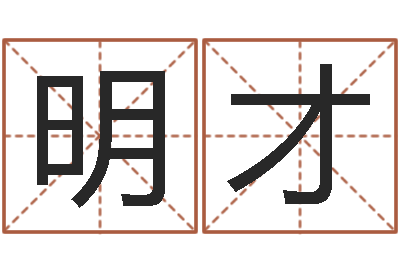 皇甫明才取名视-公司好名字