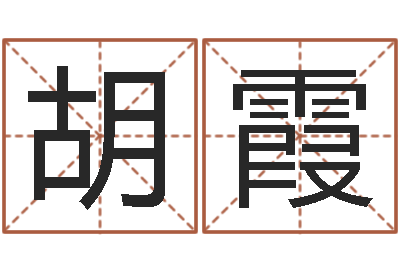 郑胡霞英公司取名字-居家办公风水