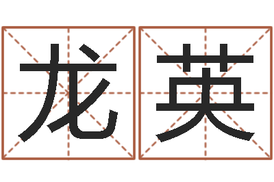 李龙英译命茬-科技公司起名