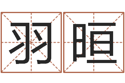 王羽晅建筑公司取名-五格数理