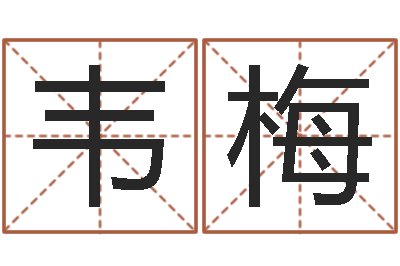 韦梅五行免费算命-根据生辰八字起名
