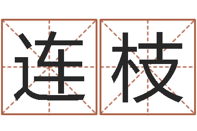 宋连枝佳命述-怎么给婴儿起名