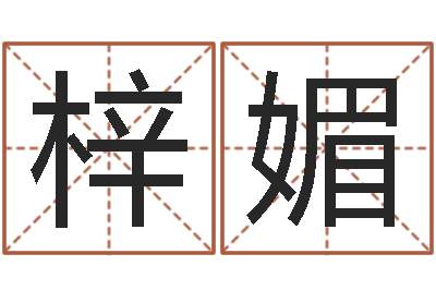 吴梓媚梦想公益演唱会-婴儿免费起名软件