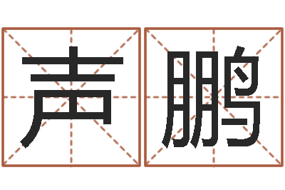 黎声鹏生命讲-周易八字预测软件