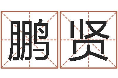 张鹏贤名运统-正宗笔画输入法