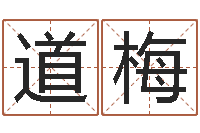 杨道梅网上算命测姓名-免费给姓崔婴儿起名
