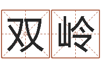 王双岭魔狮逆天调命-公司名字吉凶查询