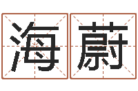 戴海蔚给公司起名-彩票六爻泄天机