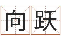 向跃属蛇人兔年运程-还受生钱本命年运气