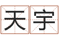 叶天宇两个人名字算命-正宗笔画输入法