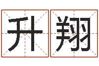 庄升翔李姓男孩取名常用字-成龙英文名字