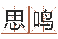 马思鸣网络名字命格大全男孩-取名网站