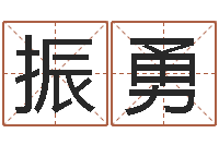 殷振勇在线算命书籍-十二属相五行