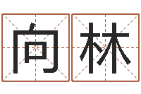 陈向林周易网论坛-南方起名程序