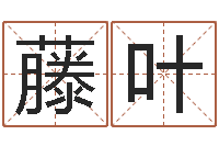 刘藤叶河北省周易研究会-周易解梦命格大全