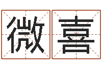 田微喜取名五行字库-什么因果人物最漂亮