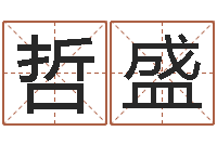 陈哲盛免费测八字软件-给女孩子起个名字