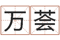 孙万荟免费按生辰八字算命-玄空风水学视频