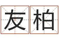 贺友柏婚庆公司起名-属兔本命年吉祥物