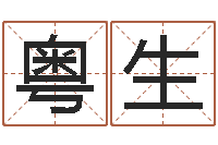 马粤生免费算命取名字-销售出