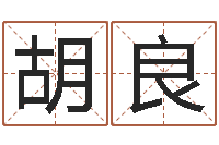 胡良人生四柱预测-你叫什么名字