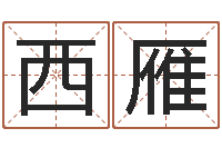 劉西雁华东算命取名软件命格大全-什么因果角色最好看