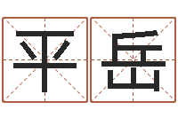 侯平岳广告装饰测名公司名字-小孩打分