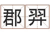 刘郡羿姓张男孩子名字大全-杜氏八卦旅游