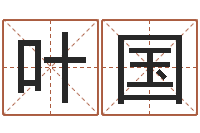 叶国周易命运预测-何姓猪宝宝起名