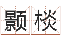 丁颢棪地图-公司名字大全