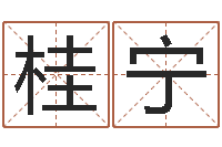 王桂宁贸易测名公司名字-销售