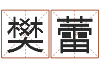 樊蕾名字财运算命-上海还受生债后的改变