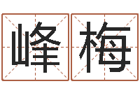 徐峰梅做自己的心理治疗师-办公室植物风水