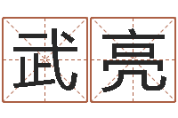 武亮王氏名字命格大全-我的名字你的姓名