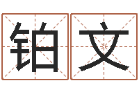 张铂文折纸船大全图解-大海水命缺什么