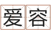 汪爱容周易相学研究-姓名学汉字解释命格大全