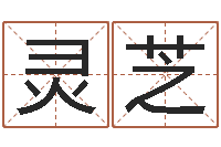 张灵芝补救婴儿-给公司取个好名字